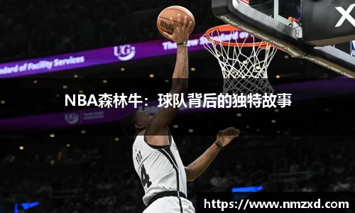 NBA森林牛：球队背后的独特故事