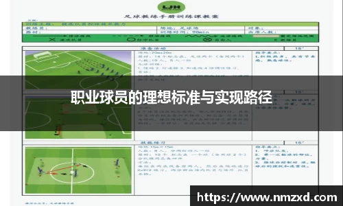 职业球员的理想标准与实现路径